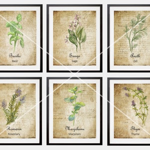 May include: Set of six vintage-style botanical prints featuring illustrations of herbs, including basil, sage, dill, rosemary, marjoram, and thyme. Each print has a brown background with handwritten text and the herb's name in French and English.