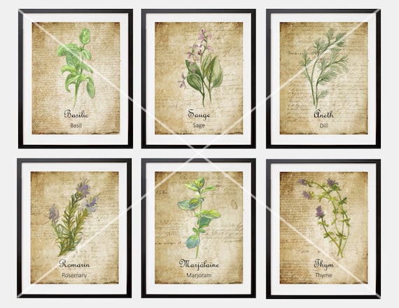 6 French Country Herbes de Provence Watercolor Herb Botanicals Spices Prints French Script Kitchen Dining Room Gallery Wall Art decor
