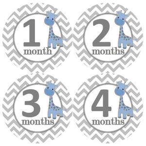 Baby maandelijkse mijlpaal groei Stickers Baby blauw grijs punthaken giraffen kinderkamer thema MS813 Baby Boy douche cadeau Baby Phot