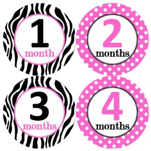 Baby maandelijkse mijlpaal groei Stickers zwart Zebra helder roze stippen kinderkamer thema MS896 Baby Boy douche cadeau Baby Foto Prop