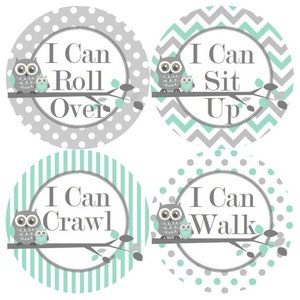 Baby 1e eerste Stickers van de groei van de MIJLPALEN in Mint grijs uilen kinderkamer thema MS300 Baby Boy douche cadeau Baby Foto Prop