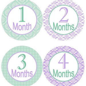 Baby maandelijkse mijlpaal groei Stickers Shabby elegantie lavendel Mint kinderkamer thema MS405 Baby douche cadeau Baby Foto Prop