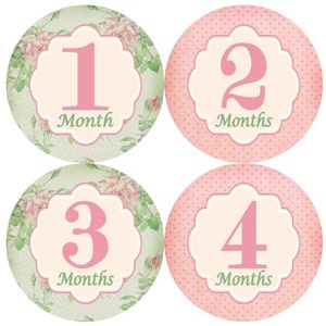 Baby maandelijkse mijlpaal groei Stickers Shabby elegantie Floral Bloemen roze en Mint Girl kinderkamer thema MS408 Baby douchegift roze Yello