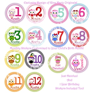 Aangepaste eerste seizoenen vakantie seizoensgebonden Baby meisje jongen maandelijkse mijlpaal groei Stickers MS700 schattige uil ontwerpen van Baby douche Prop foto cadeau