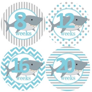 Maandelijkse mijlpaal zwangerschap groei Stickers Aqua blauw grijze haaien onderwater zee oceaan nautische MS966 kwekerij Boy Baby douche babygift