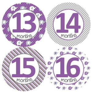 2e tweede jaar 13-24 baby maandelijkse mijlpaal groei stickers paarse en grijze olifant kwekerij thema MS205 baby shower gift baby foto prop