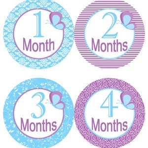 Baby maandelijkse mijlpaal groei Stickers Shabby vlinders paars blauw kinderkamer thema MS582 Baby douche cadeau Baby Foto Prop