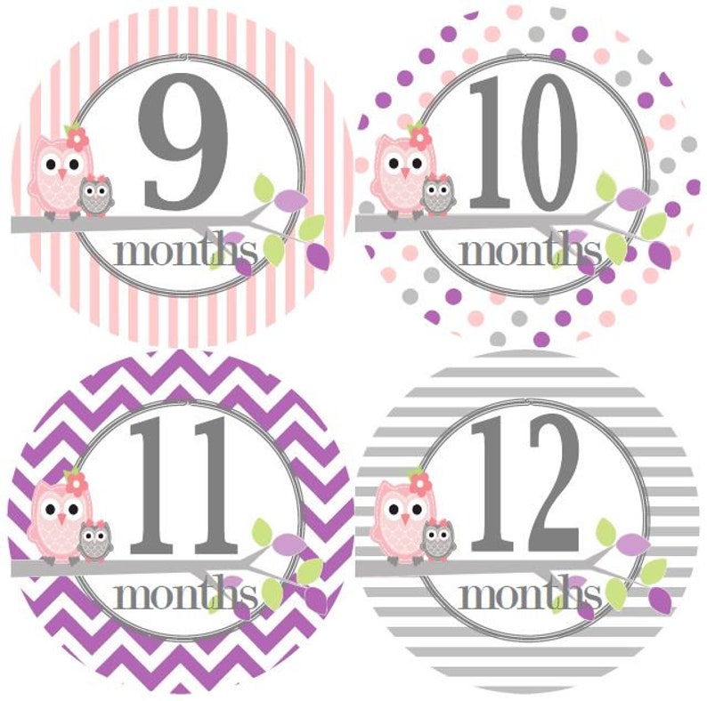 Baby Monthly Milestone Growth Stickers in Pink Purple Grey Owls MS327 Nursery Theme Baby Shower Gift Baby Photo Prop