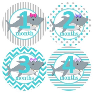 Baby maandelijkse mijlpaal groei Stickers Turquoise grijs haaien Girly strikken onderwater zee oceaan leven nautische MS878 kwekerij thema Baby Shower