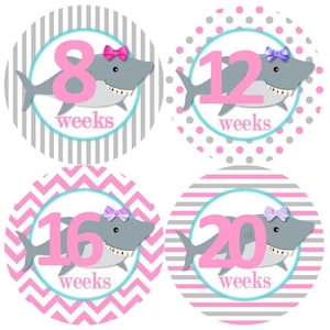Baby maandelijkse mijlpaal zwangerschap groei Stickers roze grijs haaien Girly strikken onderwater zee oceaan leven nautische MS965 kwekerij Baby Shower