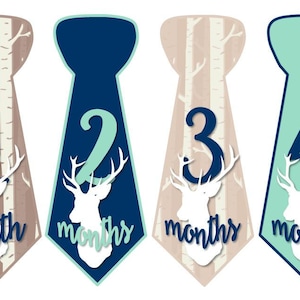 Baby maandelijkse mijlpaal groei Stickers Onbesneden Baby Boy banden Marine Mint herten berken bomen rustieke natuur bos MS967 kwekerij thema