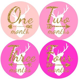 Baby maandelijkse mijlpaal groei Stickers Gold Glitter roze Ombre Tribal herten pijlen kinderkamer thema MS Baby douche Gift foto Prop