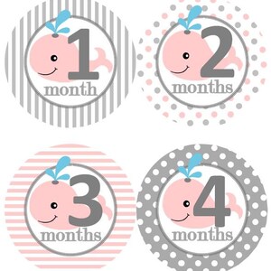 Baby maandelijkse mijlpaal groei Stickers roze grijs walvis kinderkamer thema MS614 Baby douche cadeau Baby Foto Prop