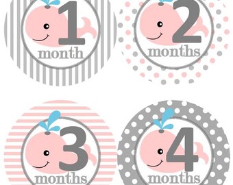Child To Cherish Baby Monthly Milestone Stickers – Reusable Photo Props, Pink Theme