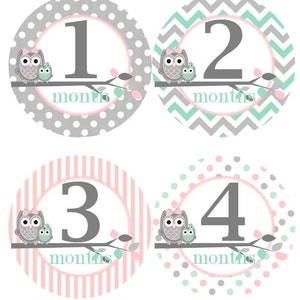 Baby maandelijkse mijlpaal groei Stickers in Mint grijs roze uilen kinderkamer thema MS307 Baby meisje douche cadeau Baby Foto Prop