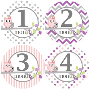 Baby maandelijkse mijlpaal groei Stickers in roze paars grijs uilen MS327 kwekerij thema Baby douche cadeau Baby Foto Prop