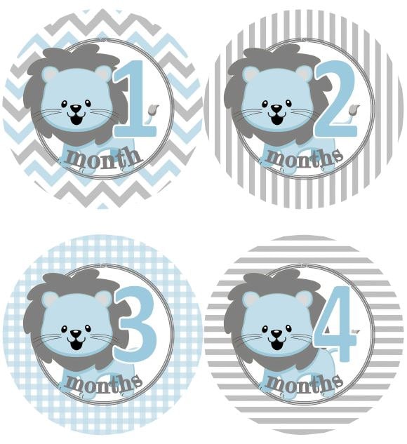 Baby Monthly Milestone Growth Stickers Grey and Blue Lions Nursery ...