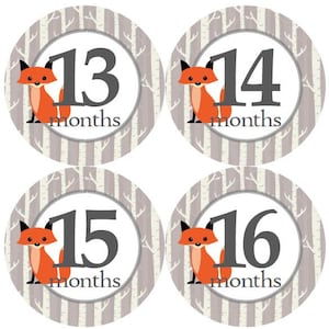 2e tweede jaar 13-24 Baby Maandelijkse Mijlpaal Groei Stickers Fox Birch Trees Bos Rustieke kwekerij thema MS817 Baby Shower Cadeau