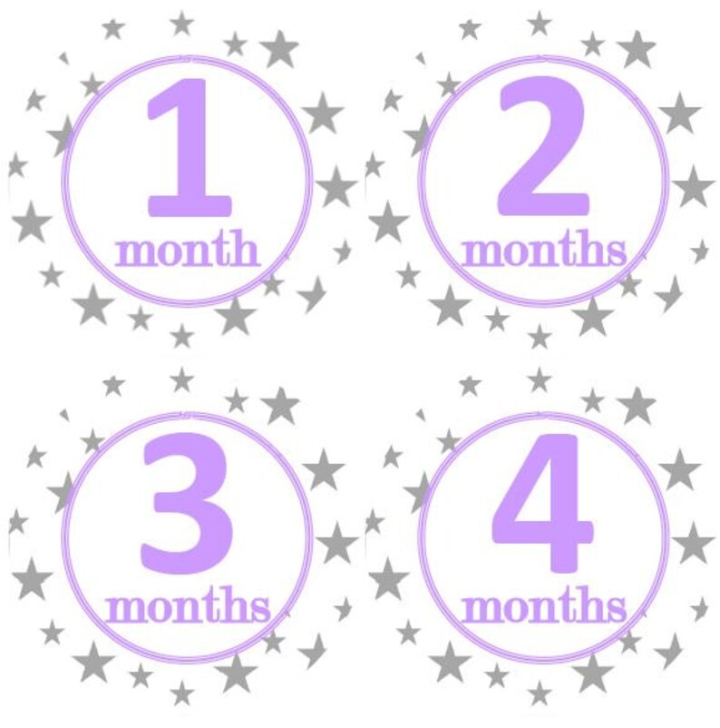 Baby Monthly Milestone Growth Stickers Grey Stars Lavender Nursery Theme MS132 Baby Shower Gift Baby Photo Prop
