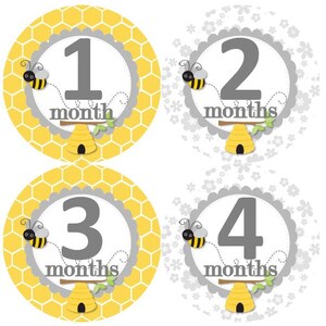 Baby maandelijkse mijlpaal groei Stickers in geel grijs Bumble Bees hommels Bee Hive kwekerij thema MS884 Baby douche cadeau Baby Foto Prop