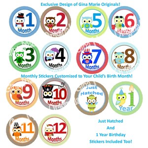 Aangepaste eerste seizoenen vakantie seizoensgebonden baby jongen of maandelijkse mijlpaal groei stickers schattige uil ontwerpen baby shower cadeau phot