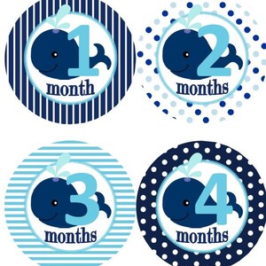 Baby maandelijkse mijlpaal groei Stickers Marine licht blauwe vinvis kinderkamer thema MS607 Baby douche cadeau Baby Foto Prop