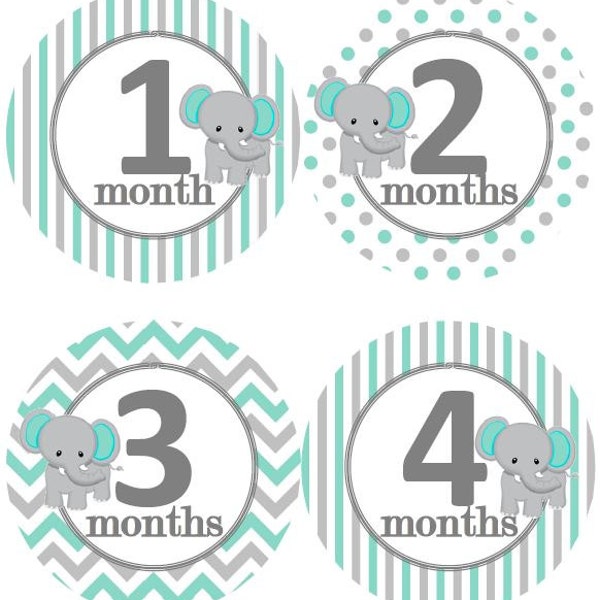 Elephant Growth Chart - Etsy