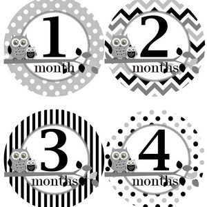 Baby maandelijkse mijlpaal groei Stickers in zwart grijs uilen kinderkamer thema MS306 Baby douche cadeau Baby Foto Prop