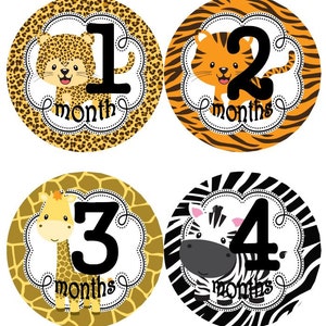 Baby maandelijkse mijlpaal groei Stickers Baby Jungle dieren Leopard tijger Giraffe Zebra Safari dier Print kwekerij thema MS564 Baby Shower