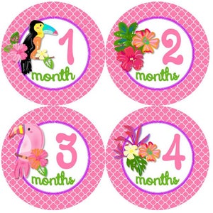 Baby maandelijkse mijlpaal groei Stickers tropische vogels en bloemen tropen MS955 Baby Girl kinderkamer thema Baby douche cadeau Baby Foto Prop