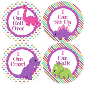 Baby 1e eerste MIJLPALEN groei Stickers meisjes in roze paars dinosaurus Girly MS513 kwekerij thema babydouche cadeau Baby Foto Prop