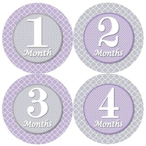 Baby maandelijkse mijlpaal groei Stickers lavendel grijs klaver kinderkamer thema MS979 Baby douche cadeau Baby Foto Prop
