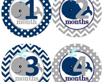 Baby Monthly Milestone Growth Stickers Navy Grey Whale Nursery Theme MS601 Baby Shower Gift Baby Photo Prop