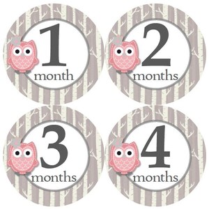 Baby maandelijkse mijlpaal groei Stickers stoffige Rose Pink Owl berken bomen bos woud rustieke MS921 kwekerij thema