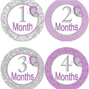 Baby maandelijkse mijlpaal groei stickers armoedige elegantie vlinders paars grijs kinderdagverblijf thema MS518 baby douche cadeau baby foto prop