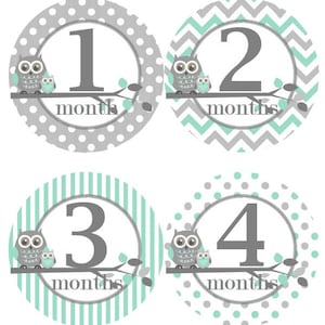 Baby maandelijkse mijlpaal groei Stickers in Mint grijs uilen kinderkamer thema MS300 Baby Boy douche cadeau Baby Foto Prop