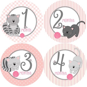 Baby Maandelijkse Mijlpaal Groei Stickers in Pink Grey Girl Cats Kittens Girly MS988 Kinderdagverblijf Thema Baby Shower Gift Baby Photo Prop