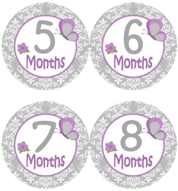 Baby Monthly Stickers | Mauve Floral Baby Milestone Stickers