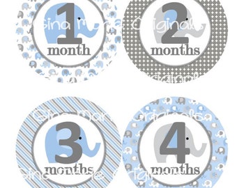Baby Monthly Milestone Growth Stickers Grey Elephant Nursery | Etsy