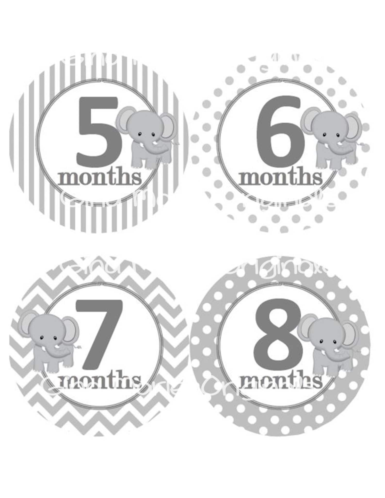 Baby Monthly Milestone Growth Stickers Grey Elephant Nursery - Etsy