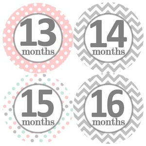 2e tweede jaar 13-24 Baby maandelijkse mijlpaal groei Stickers licht roze Mint stippen grijze Chevrons kinderkamer thema MS122 Baby douchegift