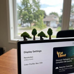 Könnte beinhalten: Kleine grüne Baumfiguren mit braunen Stämmen sind auf einem Laptop angeordnet. Der Bildschirm zeigt "Display Settings" mit einer Auflösung von 2560x1440 und das Spiel "Cat Quest". Im Hintergrund sind ein Fenster und Häuser zu sehen.