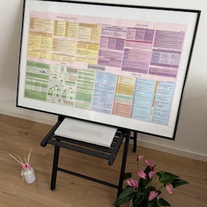 Pode incluir: Um cartaz educativo emoldurado intitulado Epidemiology, apresentando uma grade de seções coloridas com texto sobre conceitos, desenho de estudo, testes e modelagem. O cartaz é exibido em uma cadeira dobrável preta, com um pequeno livro, um difusor de varetas e uma planta em vaso por perto.