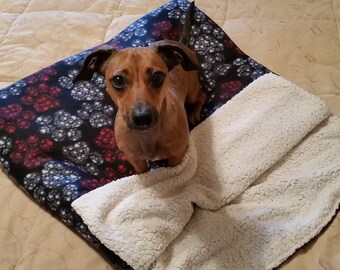 dog snuggle sack carrier