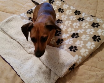 dog snuggle sack carrier