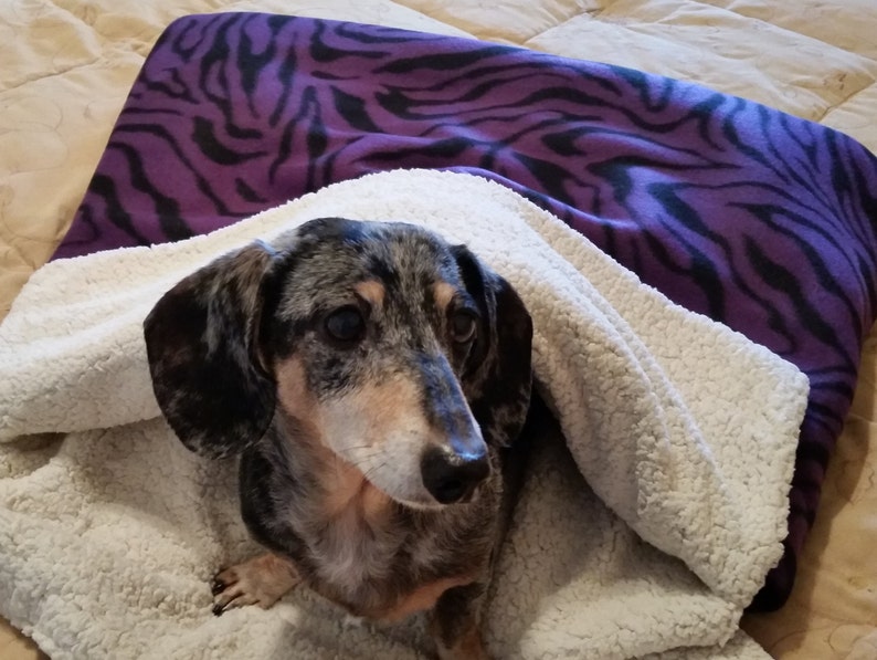 dachshund cave bed