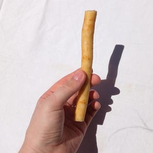 May include: A single, long, cylindrical root vegetable with a light tan, textured skin. The root has a slightly uneven surface with subtle horizontal markings and a blunt, flat-cut top end, displaying a natural, earthy appearance and pale yellow color.