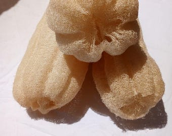 Paquete de esponjas vegetales egipcias / 3 exfoliantes corporales naturales de tamaño mediano