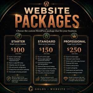 May include: A black and gold graphic displaying website packages with three tiers: Starter at $100, Standard at $150, and Professional at $250. Each column lists specific features, page counts, and hosting durations for WordPress service websites.