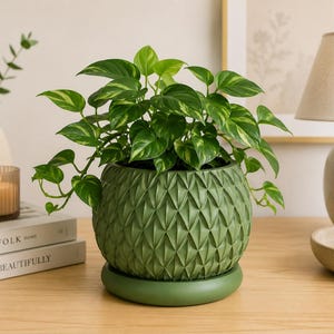 May include: A round, olive green plant pot with a textured, geometric diamond pattern on the exterior. The pot sits on a matching circular saucer and contains a lush, green and yellow variegated pothos plant with heart-shaped leaves.